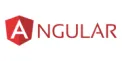 Angular Website Development
