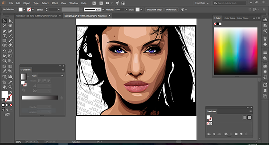 Illustrator CC Introduction Training Illustrator CC Introduction Training